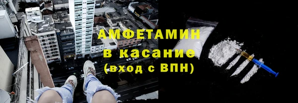 стаф Алзамай