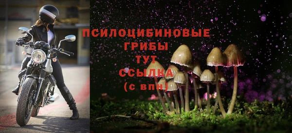 дурь Пересвет
