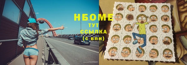 стаф Алзамай