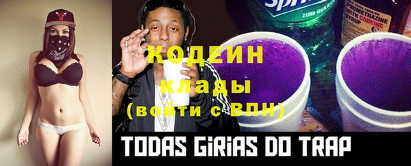 дживик Абаза